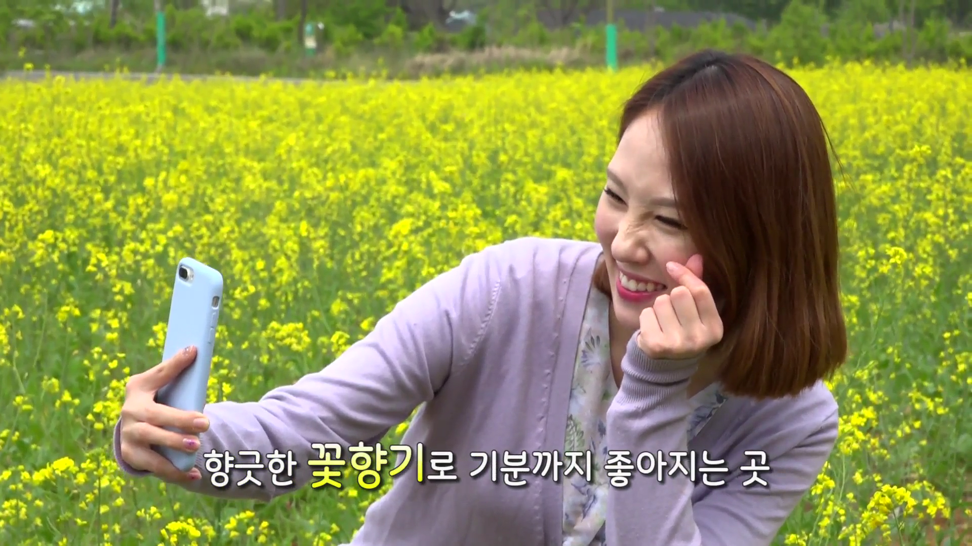 대천해수욕장 꽃길